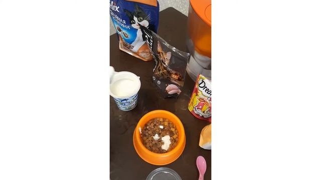 # рецептики для котика! суп 🐈🥘 смотреть онлайн