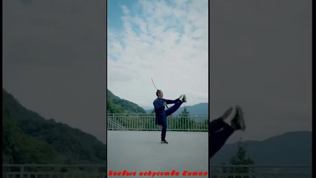 Боевые искусства Удан (Меч восьми бессмертных)