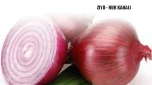 PIYOZ HAQIDA QIZIQARLI MA'LUMOTLAR