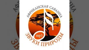 Звуки природы.Африканская саванна