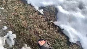 Весна пришла