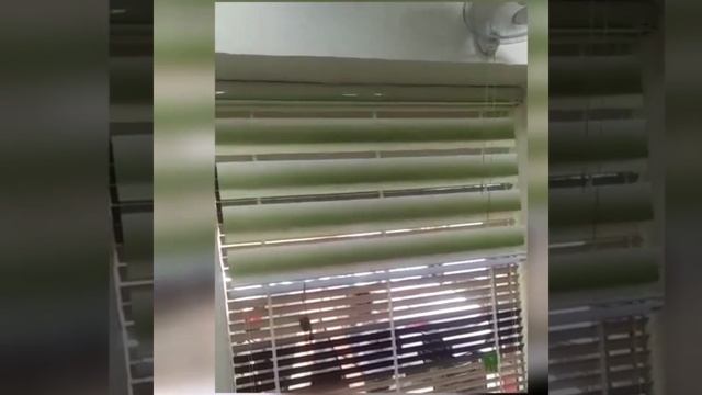 MOTORISED ZEBRA BLINDS #home #shorts #viral #trend смотреть онлайн