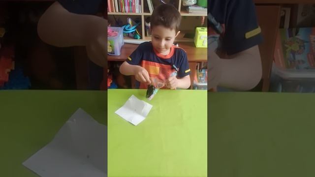 распаковка тапалапка