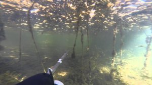 Унжа сентябрь