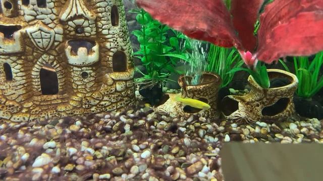 Утренний Relax с рыбками/28.09.22 07:25 Саратов РФ смотреть онлайн