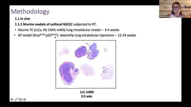 Targeting Radiation induced Vascular Endothelial Cell Dysfunction to Modulate... Dr Rita Pedrosa смотреть онлайн