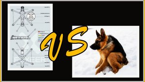 Foxeer Mega LR7 DC VS a funny slouching dog.