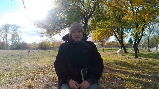 Закон проклятия