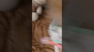 1000005425.mp4