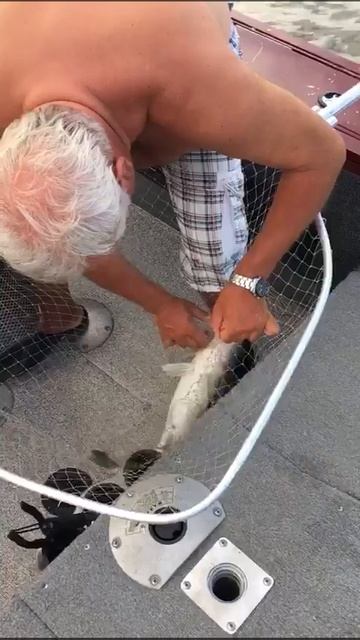 ловля судака в летнее половодье июля 2017 года смотреть онлайн