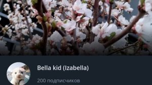 Клип на 200 подписчиков 💗 "Подпишись на канал"