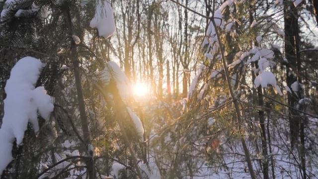 Развитие как Вселенский закон.  Развитие твоих даров и способностей.  Дар любви.