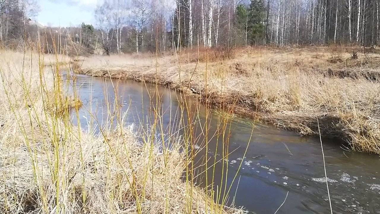 Белухино. Прогулка к реке.