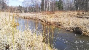 Белухино. Прогулка к реке.