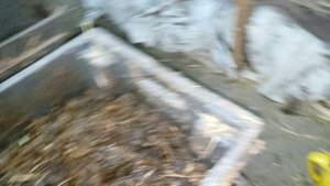 Скоро рыболовный сезон. Проверяем червей.