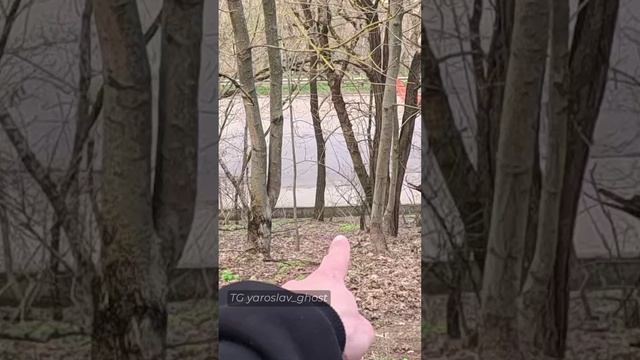 Новая тракетория
