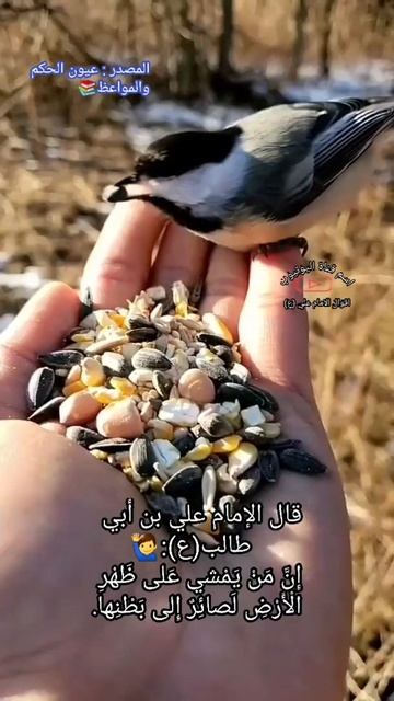 ١٩ يونيو ٢٠٢٢ смотреть онлайн