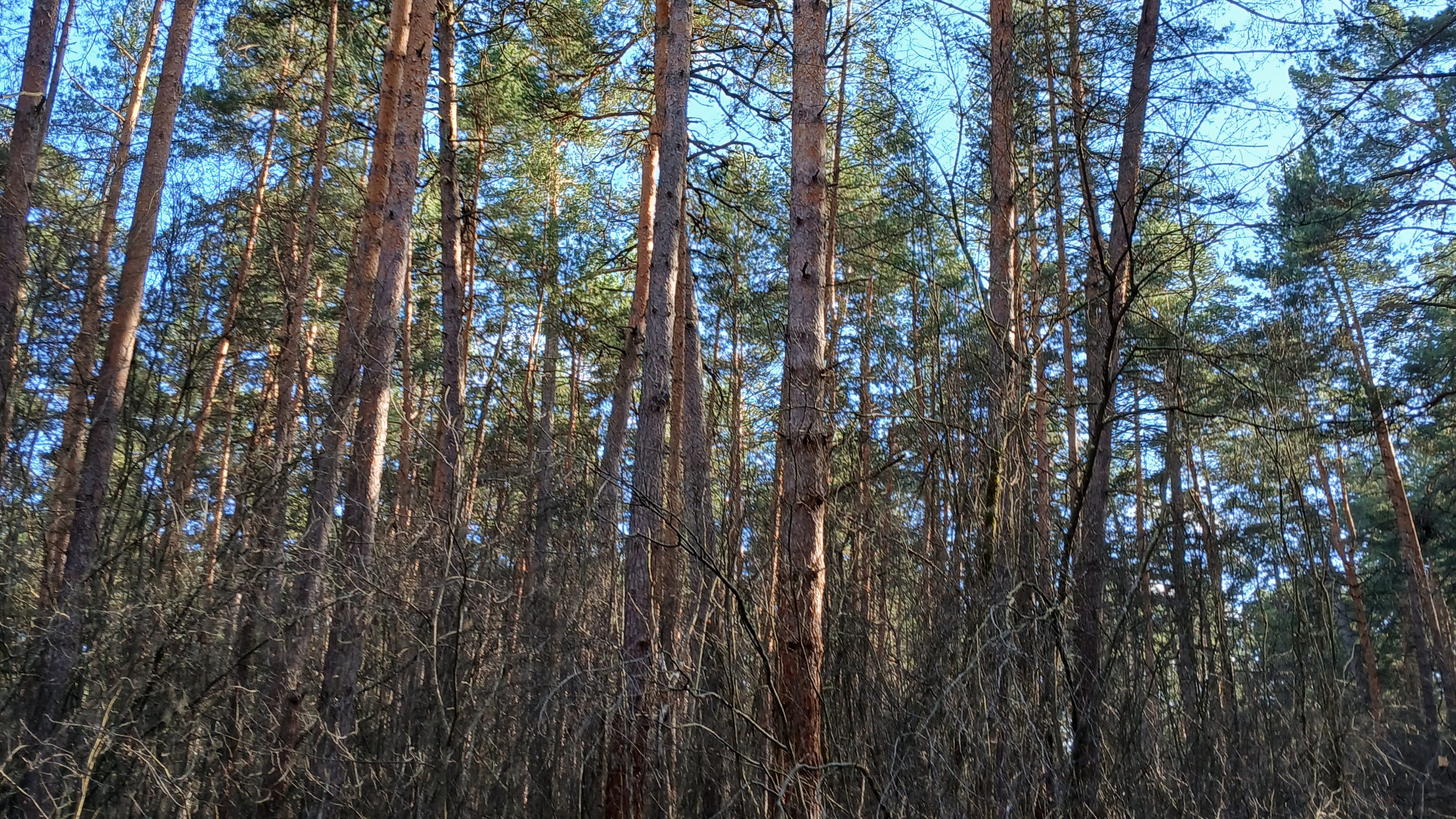 12-04-2025. северное сияние август. 