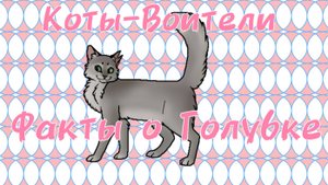 Коты-Воители факты о Голубке