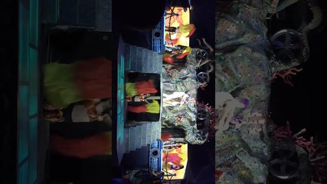 KizzAfro-2015. Fire-show. Шустов Глеб и Соломатина Елена. смотреть онлайн