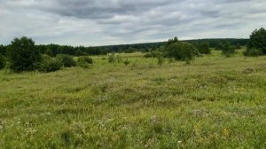 фоторяд природа