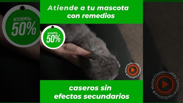 Remedios caseros para PERROS