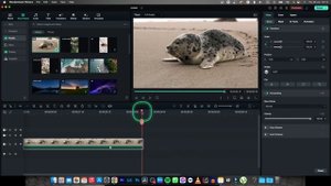 How To Fade To Black in Filmora | Fade In and Fade Out Made Easy | Wondershare Filmora Tutorial