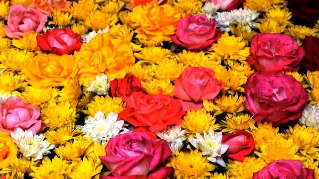 Новые медленные новинки для авто онлайн смотреть онлайн