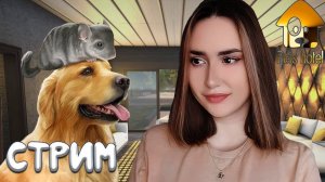 Pets Hotel ► БОЛЬШОЙ СТРИМ