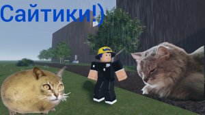 Новая рубрика!