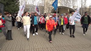 Десять тысяч шагов к здоровью прошли новосибирцы