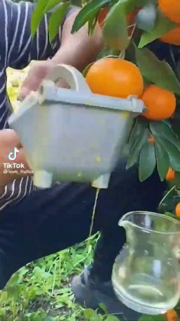 citrus juice 🥤 WOW 😂#pakistan #saudiarabia #fruit #citrus