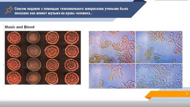 Как работают МЭЦ: Уникальная особенность программ МЭЦ