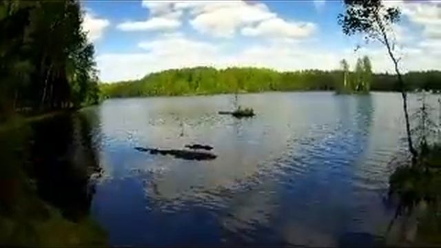 Осиновая Роща. Санкт-Петербург