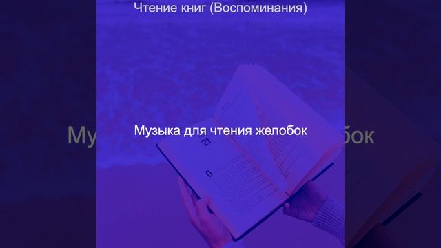 Мечты (Университет)
