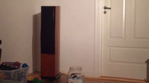 Dali Euphonia MS 4 playing