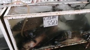 Сходила на рынок Кисловодска😳😊🥩🍖🍠