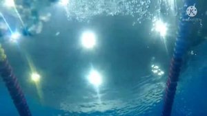 Базовый курс по дайвингу "OPEN WATER DIVER"