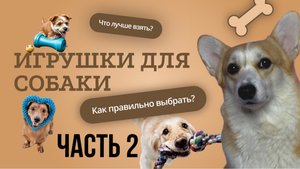 Игрушки для собаки. Часть 2.