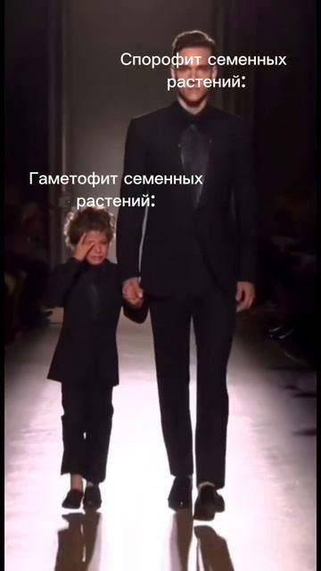 У семенных растений гаметофит редуцирован🤫🍼 смотреть онлайн