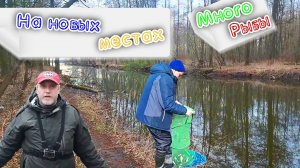 ШАТУРА НА НОВЫХ МЕСТАХ