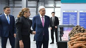 Новые стадионы, спорткомплексы и перинатальный центр. Токаев ознакомился с планами развития Шымкента