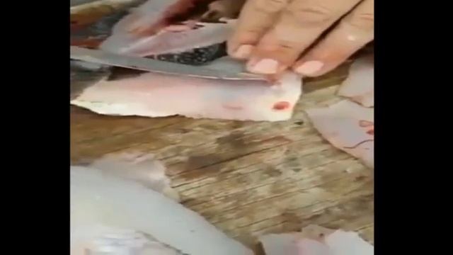 carne de pescado con parasito. смотреть онлайн