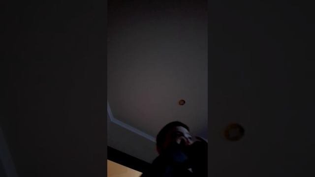 Смешной  звук