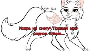 ◇•|Последние слова котов-воителей из моей истории... (идея не моя!!!!!)|•◇ [автор Лиственная река КВ