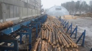 Сортировка бревна леса. Линия сортировки бревен Аркон