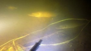 два часа за три минуты