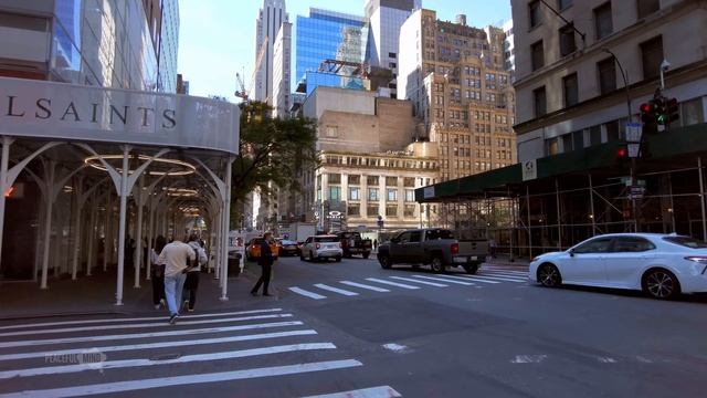 🚶 Погружаемся в летний Нью-Йорк пешком! Центр США — прогулка, которая вдохновляет ✨🌆☀️