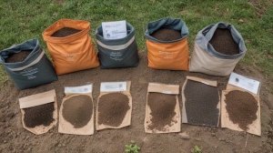 Зола для перцев как правильно подкормить - Овощи