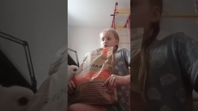 новая продукция форма собачьего